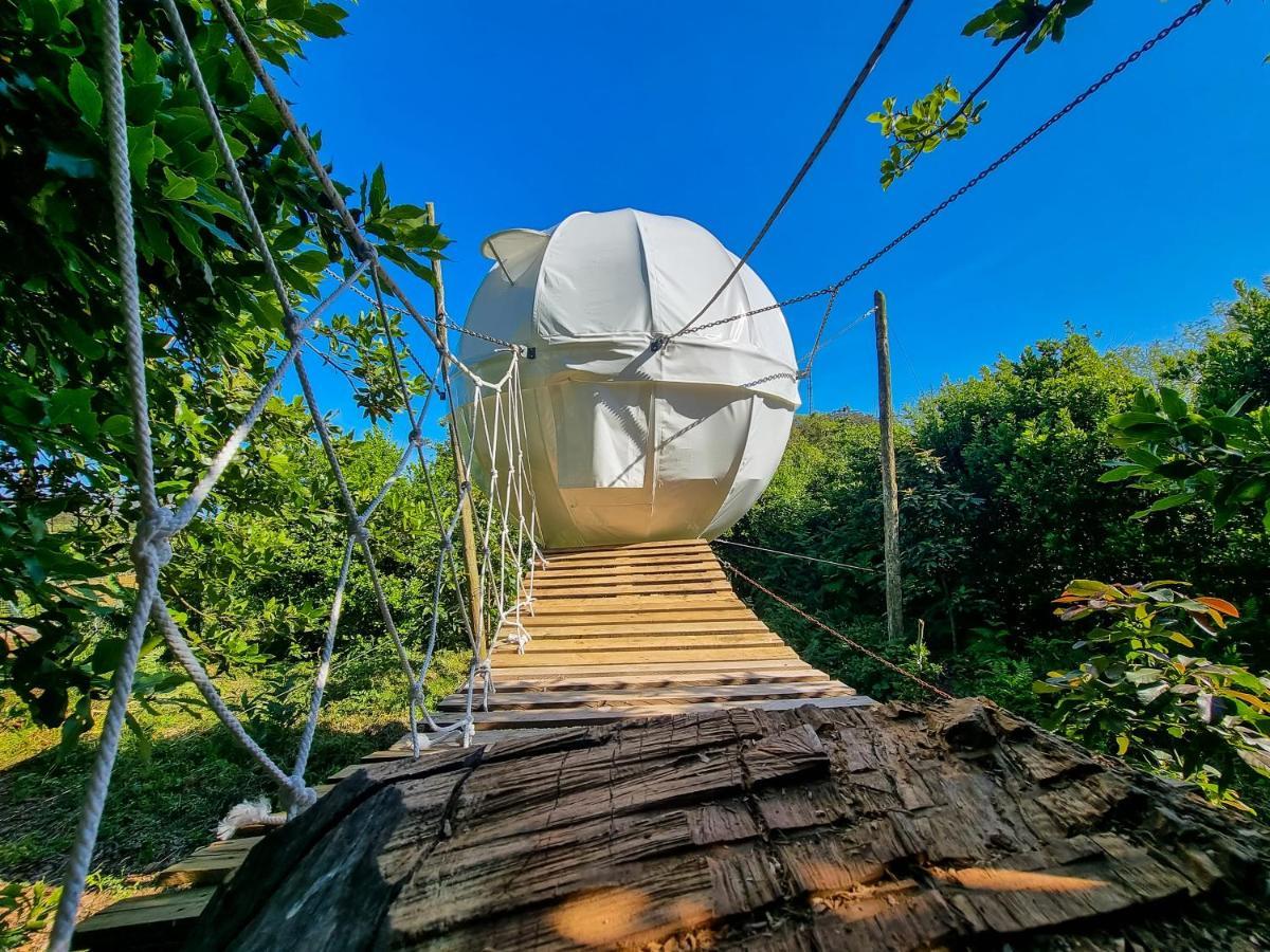 فيلا Quinta Do Abacate - Glamping Park أنغرا دو إِراويزو المظهر الخارجي الصورة