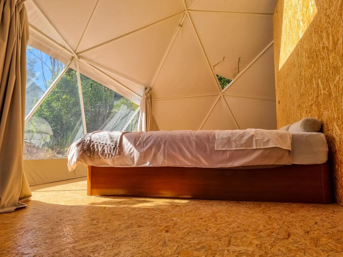 فيلا Quinta Do Abacate - Glamping Park أنغرا دو إِراويزو المظهر الخارجي الصورة
