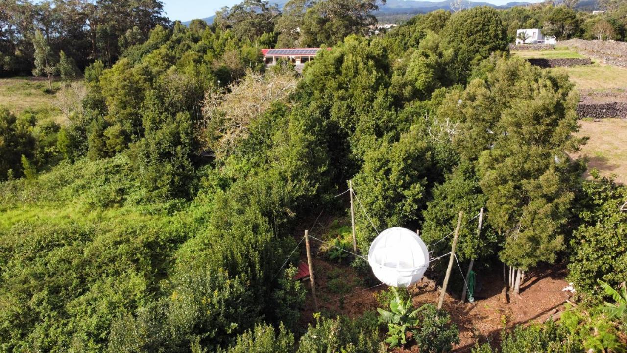 فيلا Quinta Do Abacate - Glamping Park أنغرا دو إِراويزو المظهر الخارجي الصورة