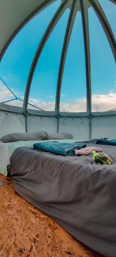 فيلا Quinta Do Abacate - Glamping Park أنغرا دو إِراويزو المظهر الخارجي الصورة