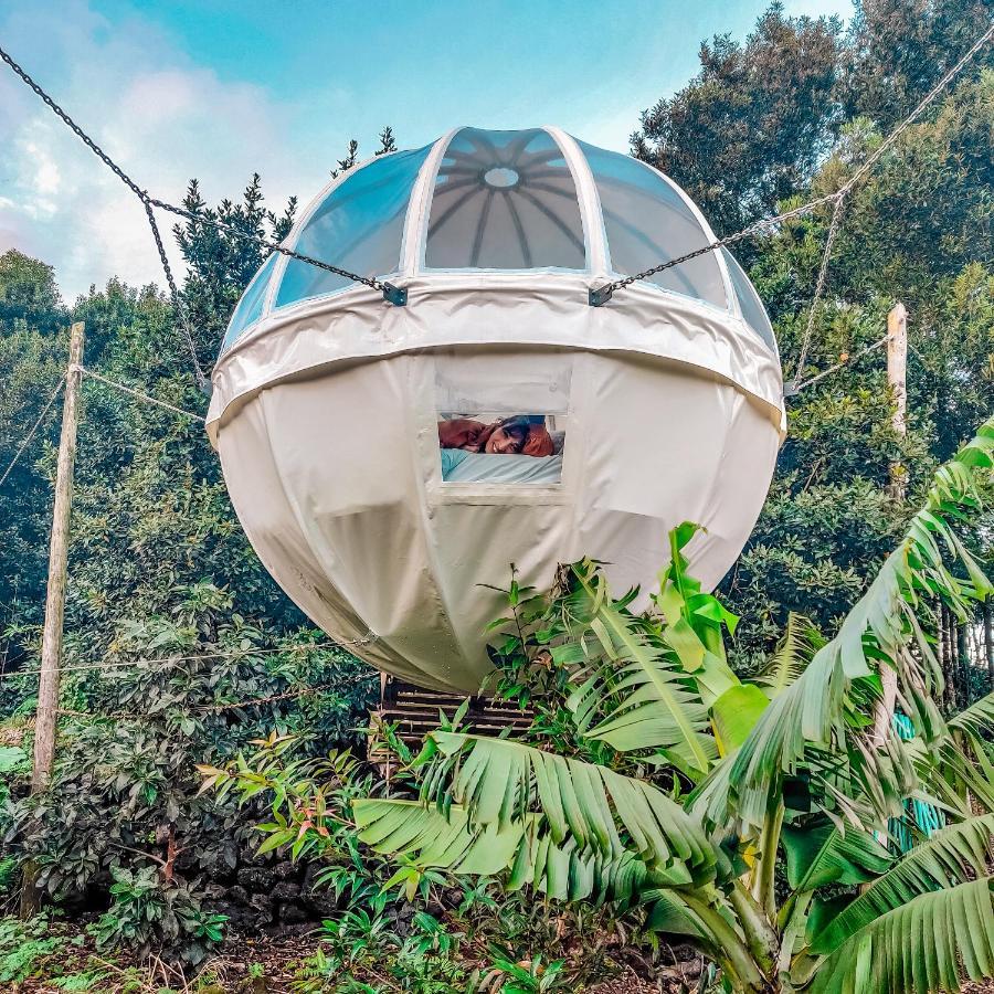 فيلا Quinta Do Abacate - Glamping Park أنغرا دو إِراويزو المظهر الخارجي الصورة