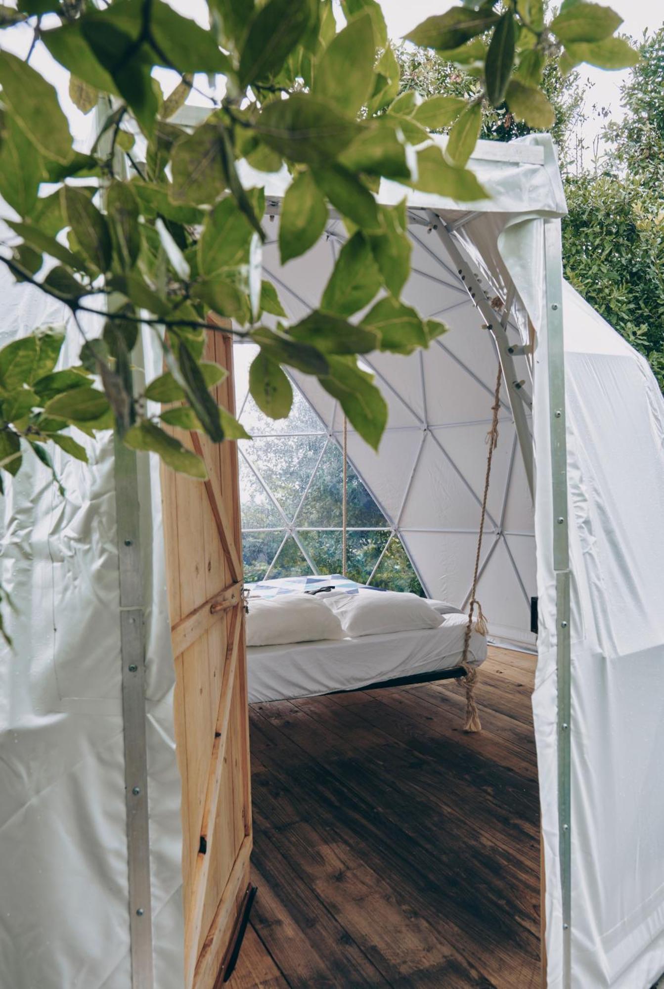 فيلا Quinta Do Abacate - Glamping Park أنغرا دو إِراويزو المظهر الخارجي الصورة